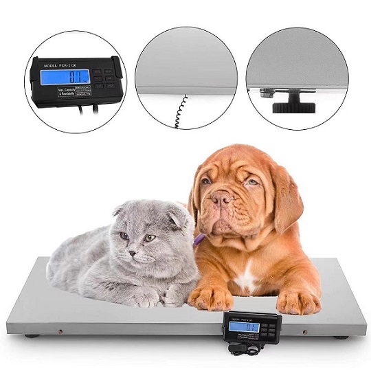 Pet Scale